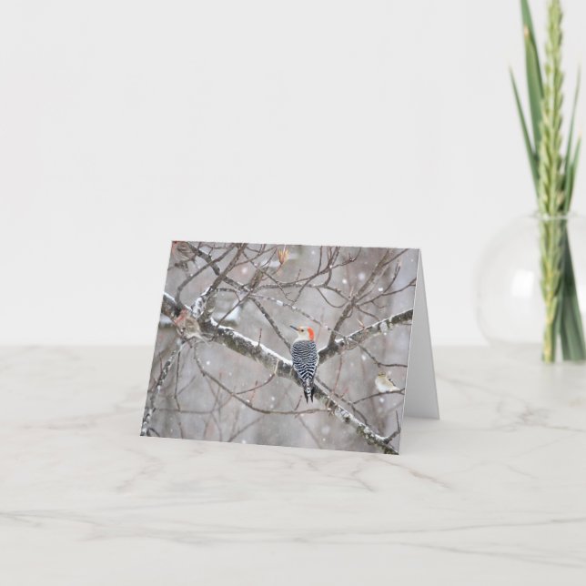 Red Belllied Woodpecker Notecard - Blank Inside Kort (Framsida)