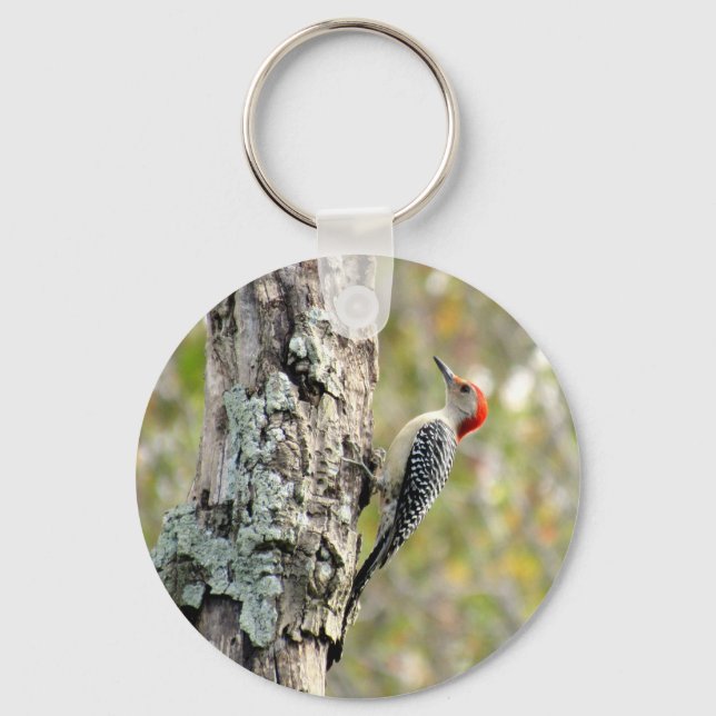 Red Belllied Woodpecker - Nyckelring (Framsida)