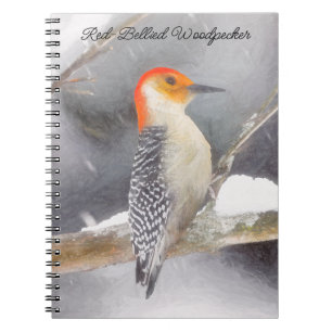 Red-Belllied Woodpecker Painting Original Bird Art Anteckningsbok