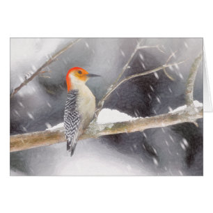 Red-Belllied Woodpecker Painting Original Bird Art Hälsningskort