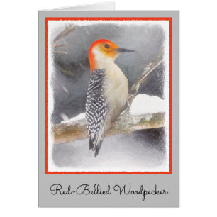 Red-Belllied Woodpecker Painting Original Bird Art Hälsningskort