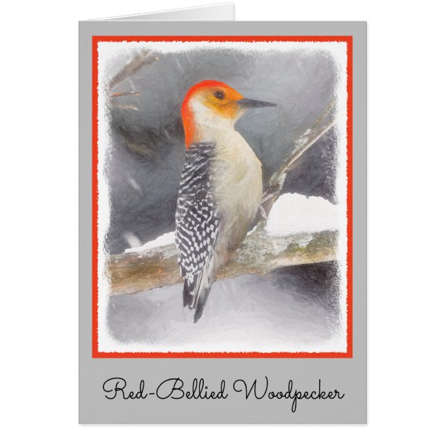 Red-Belllied Woodpecker Painting Original Bird Art Hälsningskort (Framsidan)