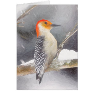Red-Belllied Woodpecker Painting Original Bird Art Hälsningskort