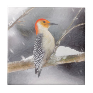 Red-Belllied Woodpecker Painting Original Bird Art Kakelplatta
