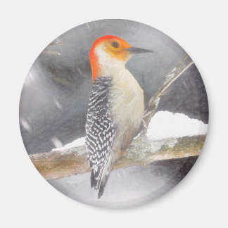 Red-Belllied Woodpecker Painting Original Bird Art Magnet