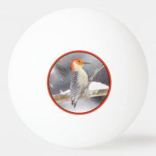 Red-Belllied Woodpecker Painting Original Bird Art Pingisboll