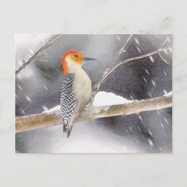 Red-Belllied Woodpecker Painting Original Bird Art Vykort (Framsida)