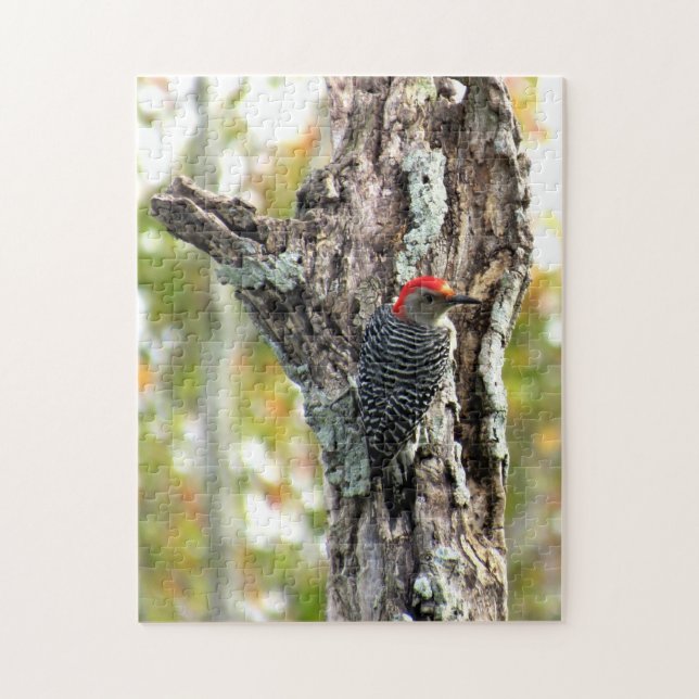 Red Belllied Woodpecker Puzzle Pussel (Vertikal)