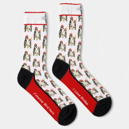 Red Belllied Woodpecker Socks