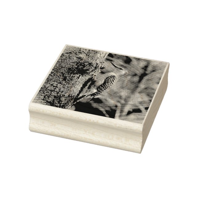 Red Belllied Woodpecker Stämpel (Stämpel)