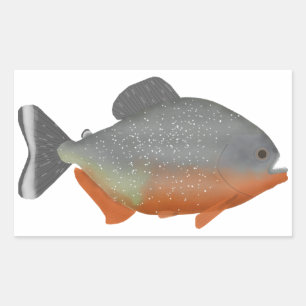 Red Belly Piranha Rektangulärt Klistermärke