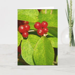 Red Berries Helgkort