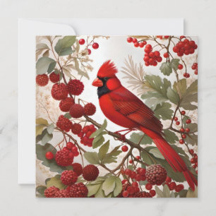 Red Berries i norra kardinal Bird