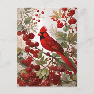 Red Berries i norra kardinal Bird Vykort