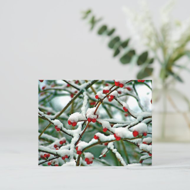 Red Berries i Snö (2025) Vykort (Stående Fram)