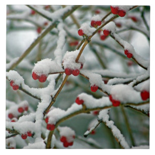 Red Berries in Winter Snö iPad Pro Cover Kakelplatta