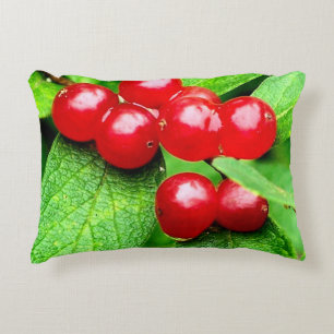 Red Berries med regndroppar nära Prydnadskudde