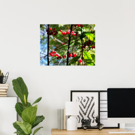 Red Berries på Träd Photo Print Poster