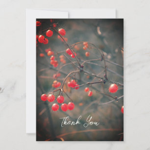 Red Berries Winter Nature Photography Tack Kort