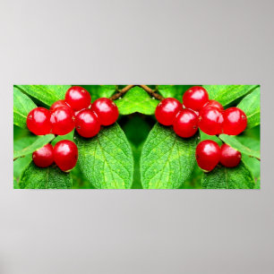 Red Berries with Raindrops Spegel Abstrakt Poster