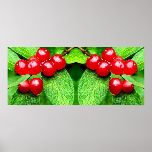 Red Berries with Raindrops Spegel Abstrakt Poster (Framsidan)