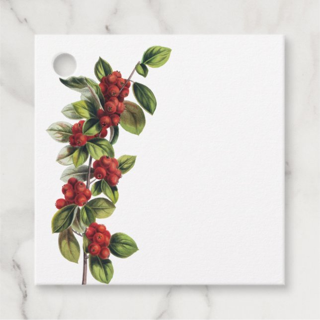 Red Berry Gren Juletiketter Gåvor Etiketter (Framsida)