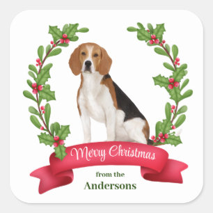 Red Berry Holly Banner Beagle jul Fyrkantigt Klistermärke