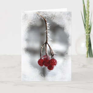 Red Berry jul-födelsedagskort Helgkort