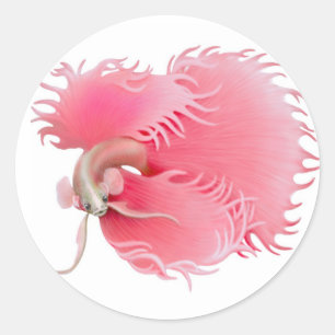 Red Betta Splendens Fish Sticker Runt Klistermärke