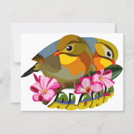 RED-BILLED LEIOTHRIX BIRDS—ALOHA VYKORT