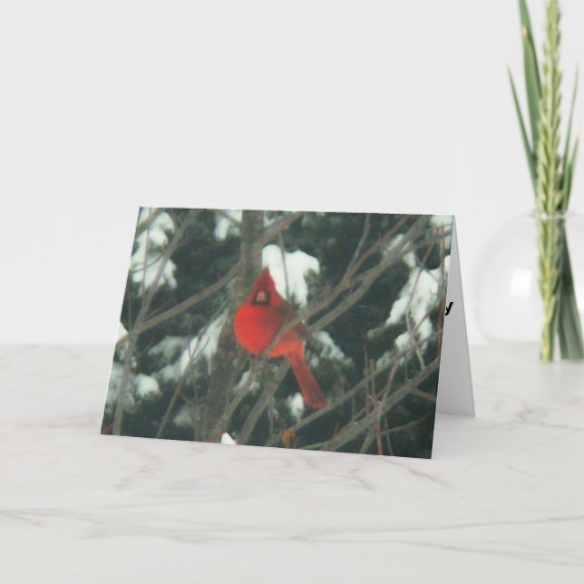 Red Bird i Snö Helgkort (Framsida)