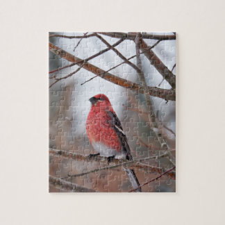 Red Bird in Winter Snow Pussel