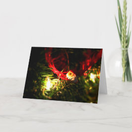 Red Bird jul Ornament & Glowing Ljus Card Helgkort