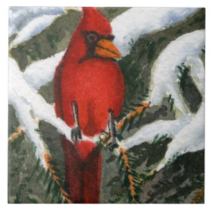 Red Bird-kardinal i snö täckte gräs Kakelplatta