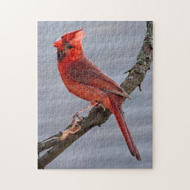 Red Bird of Summer Puzzle Pussel (Vertikal)