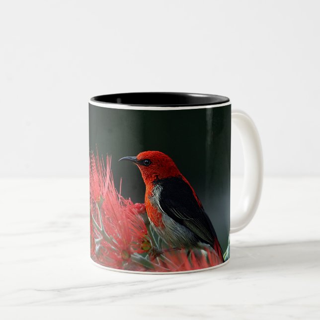 Red Bird on Gren - Elegant Nature Mugg (Framsida höger)