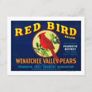 Red Bird Pear Låda LabelPashastin, WA Vykort