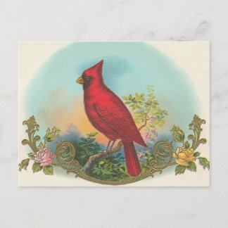Red Bird Vykort