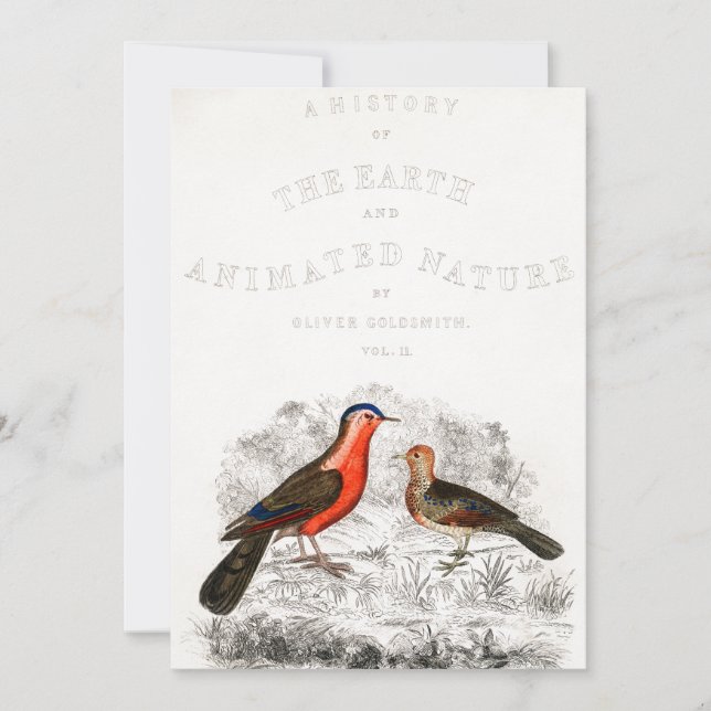 Red Birds Couple Timothee chalamet, ring mig. Inbjudningar (Framsida)