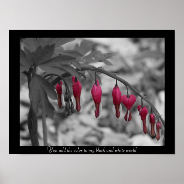 Red Bleeding Hearts Poster (Framsidan)