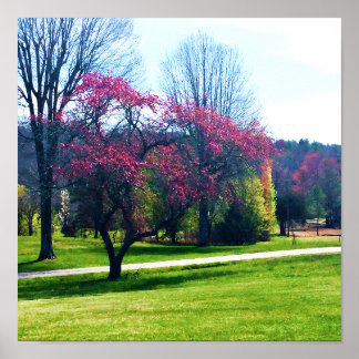 Red Blommar Crabapple Poster