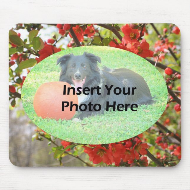 Red Blommars Blommigt Photo Ram Musmatta (Framsidan)