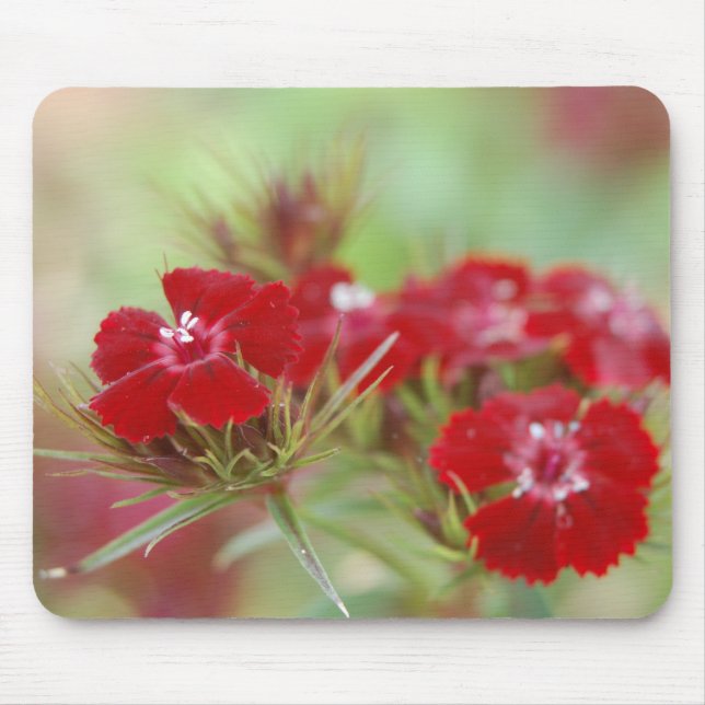 Red Blommigt Garden Mousepad Musmatta (Framsidan)