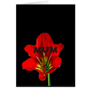 Red Blommigt Morsa Hälsningskort