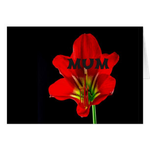 Red Blommigt Morsa Hälsningskort