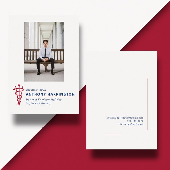 Red Blue i veterinärfotosymbolen Meddelande (Skapare uppladdad)