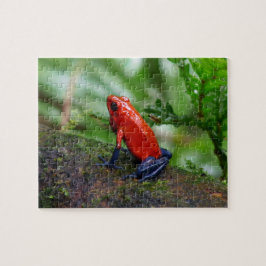 Red & Blue Poison Dart Frog Pussel