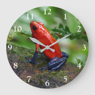 Red & Blue Poison Dart Frog Stor Klocka