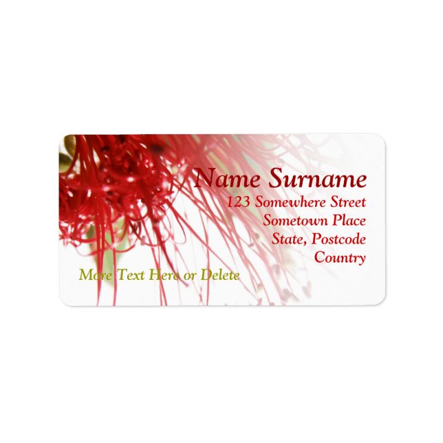 Red Bottlebrush Flower Address Label Adressetikett (Framsidan)
