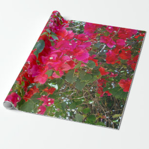 Red Bougainvillea Presentpapper